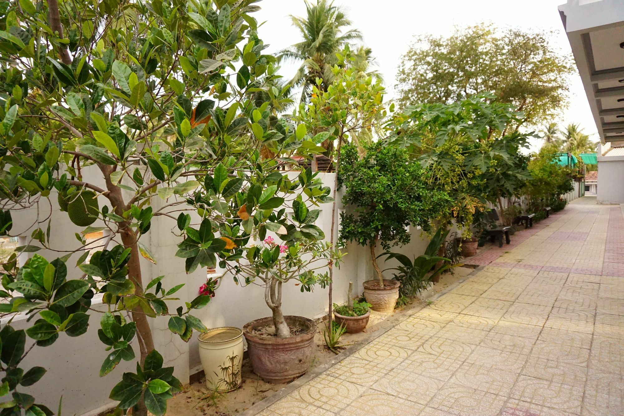 Cat Tien Guesthouse Муйне Экстерьер фото
